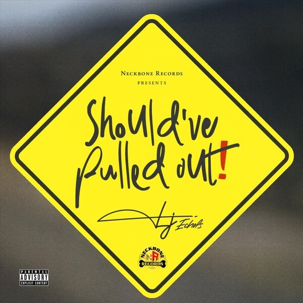 Cover art for Should've Pulled Out