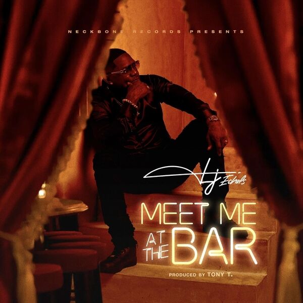Cover art for Meet Me at the Bar